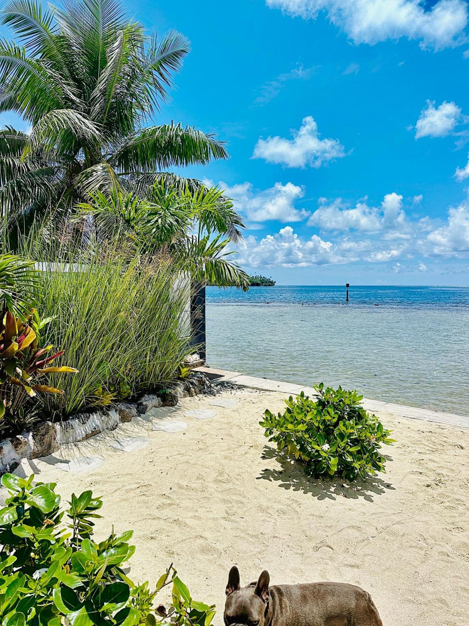 Pension Irivai Appartement Puatou 1 Chambre Bord De Mer ウツロア エクステリア 写真