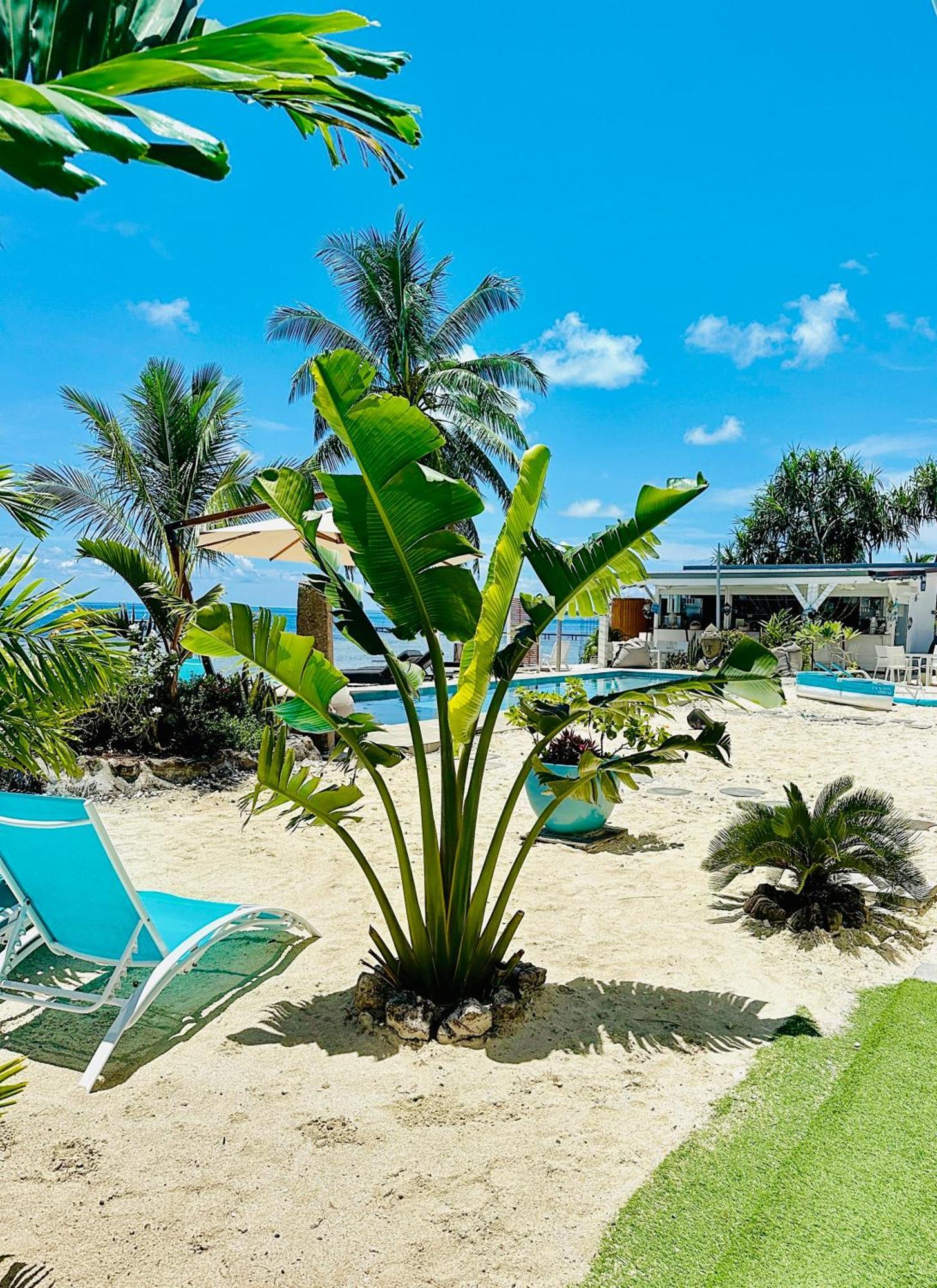 Pension Irivai Appartement Puatou 1 Chambre Bord De Mer ウツロア エクステリア 写真