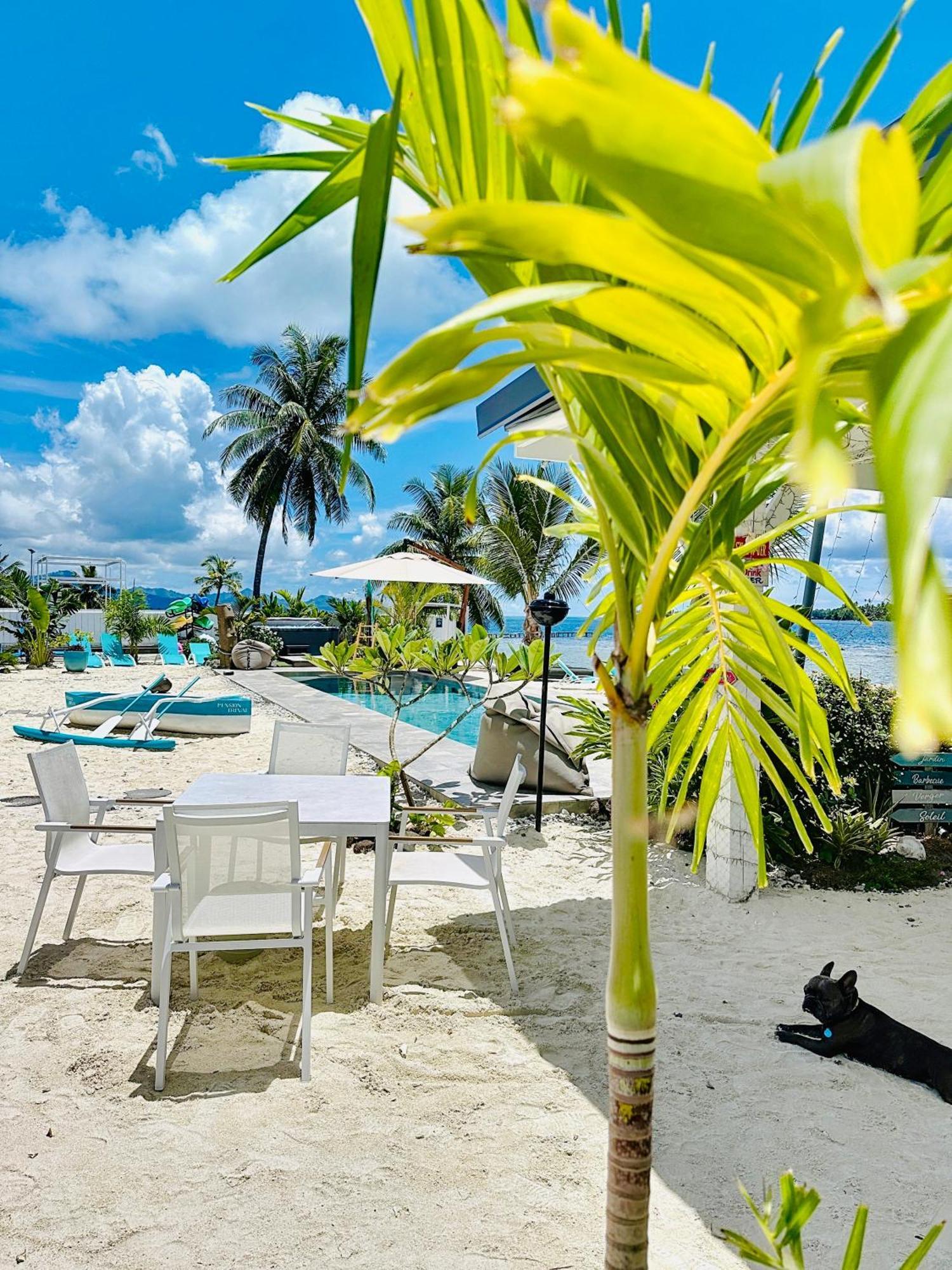 Pension Irivai Appartement Puatou 1 Chambre Bord De Mer ウツロア エクステリア 写真